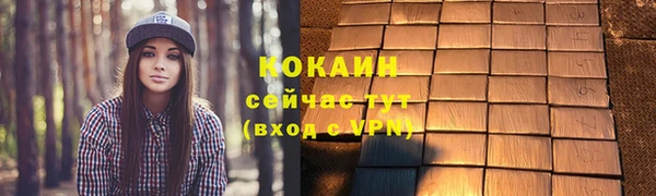 шишки Майский