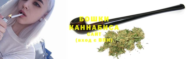 шишки Майский