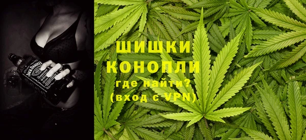 шишки Майский