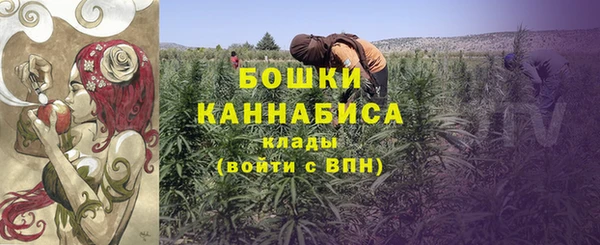 шишки Майский