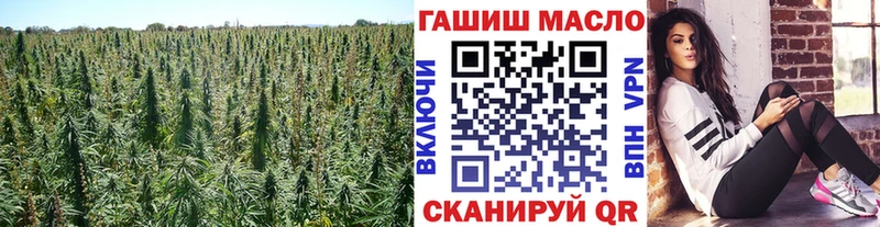 сколько стоит  Дно  Дистиллят ТГК гашишное масло 