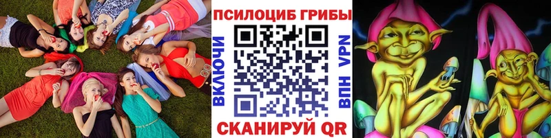 Псилоцибиновые грибы Psilocybe  Дно 