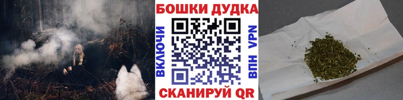 Бошки Шишки гибрид  Дно 